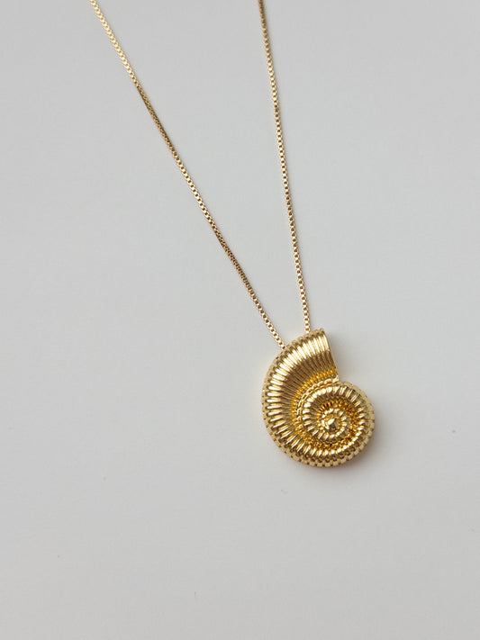 Twirl Shell Necklace